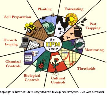 IPM