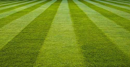 PerfectLawnLines1