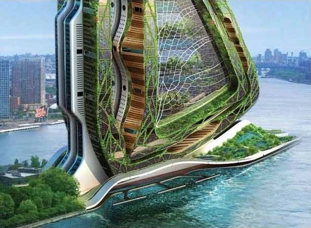 vertical farming: when high-tech meets food production