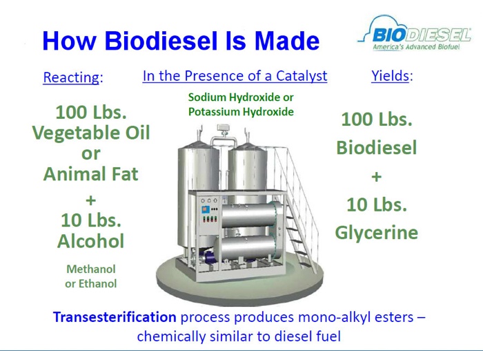 how_biodiesel_is_made