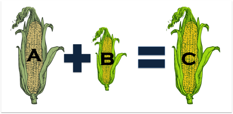 5 things to consider before buying hybrid seeds