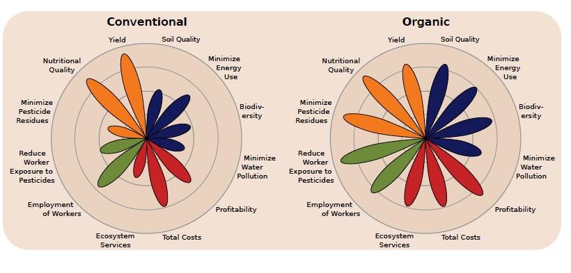 action-sn-blog-organic-vs-conventional