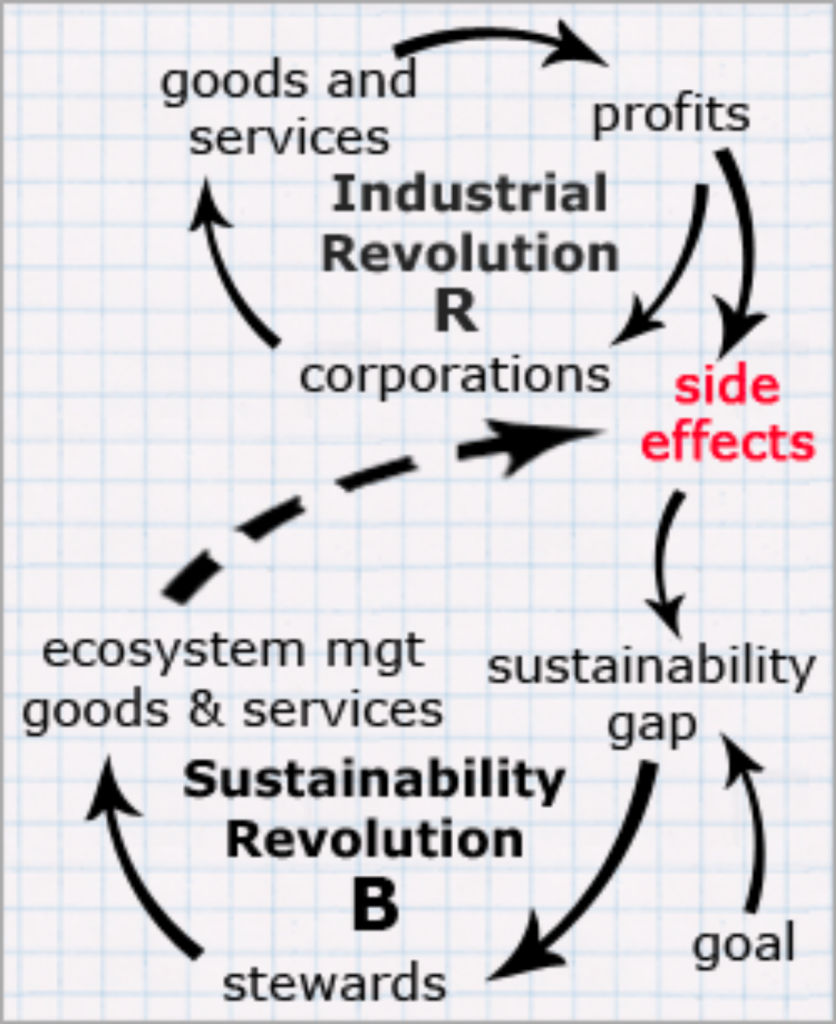 flow of resources through systems in weak sustainability system