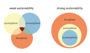 strong sustainability infographic