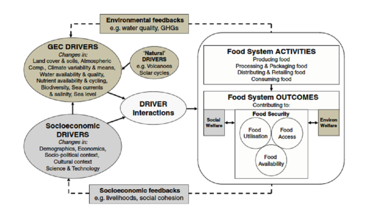 A food systems approach