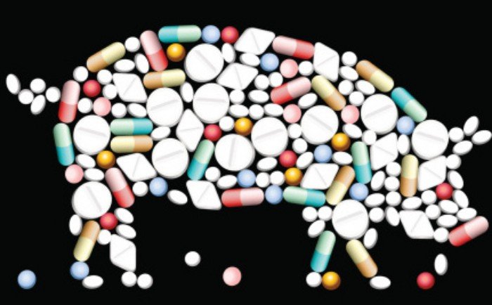 factory farms and antibiotics
