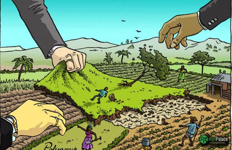 the importance of agriculture and how it has evolved throughout the past century