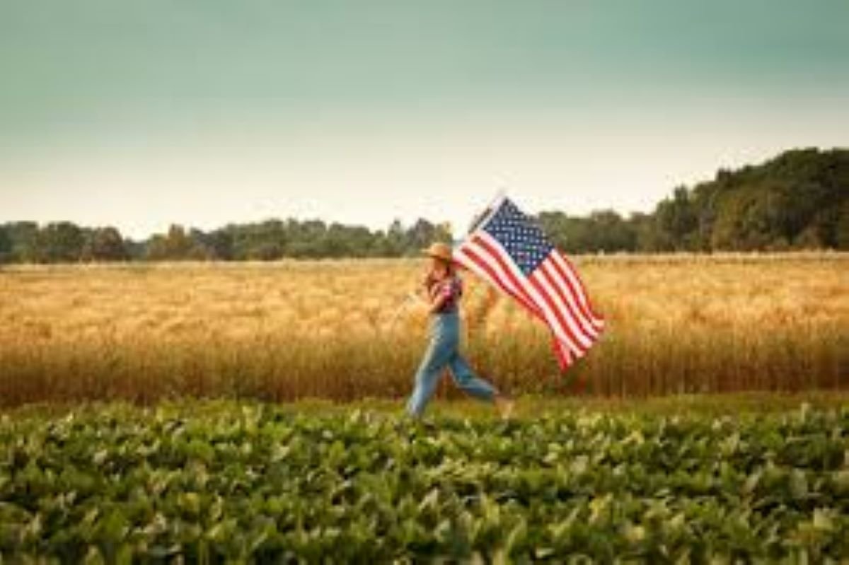 a history of domestic (American) agricultural policy