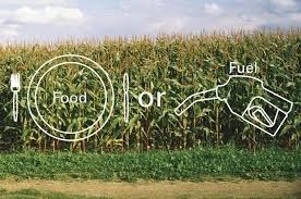 food or fuel