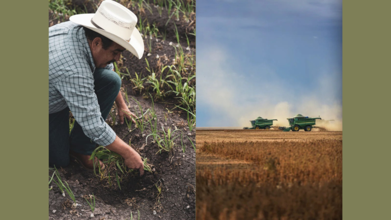 a visual comparison of small vs large agribusiness