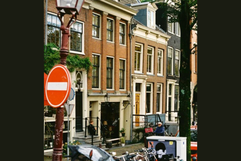 alternatives to electric vehicles