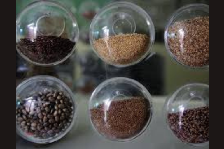 saving seeds in bioregional seed banking networks