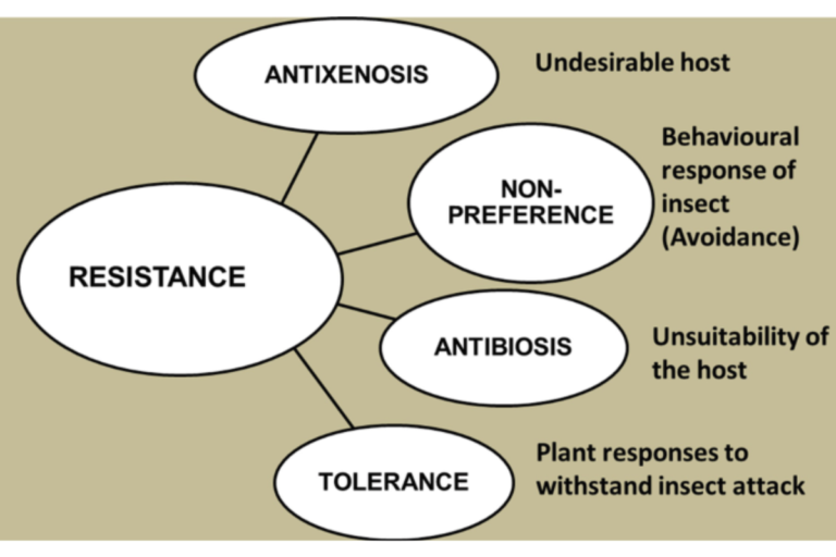 types of plant resistance