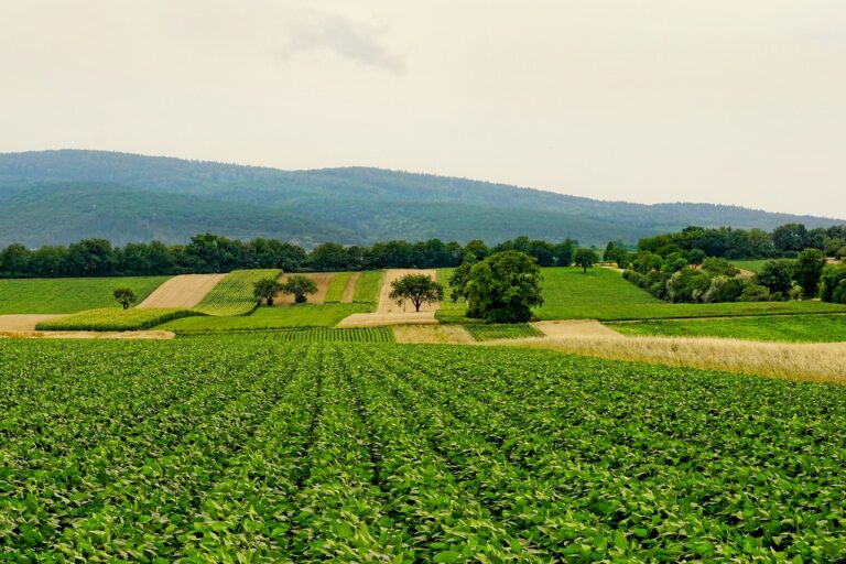 the view from a farm benefiting from the economics of regenerative agriculture